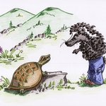N̓səl̓xčin̓ 1 - N̓səl̓xčin̓ Stories for Beginners, second edition. - Story 15 - Skunk and Turtle thumbnail