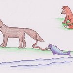 N̓səl̓xčin̓ 1 - N̓səl̓xčin̓ Stories for Beginners, second edition. - Story 6 - Coyote & Fox fishing thumbnail