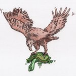 N̓səl̓xčin̓ 1 - N̓səl̓xčin̓ Stories for Beginners, second edition. - Story 13 - Turtle and Eagle thumbnail