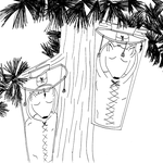 N̓səl̓xčin̓ 2 - Čaptíkʷł 2: N̓səl̓xčin̓ Stories for Intermediate Learners, - Story 13 - Chickadee, Elk & the Wolves thumbnail