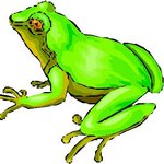 N̓səl̓xčin̓ 1 - A Beginning Course in Colville-Okanagan Salish, second edition - Lesson 36 - Animals 3 thumbnail