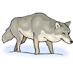 Halq'eméylem 1 - Halq'eméylem for Beginners - Lesson 23 - Animals 2 thumbnail
