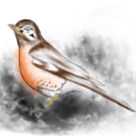 Halq'eméylem 1 - Sx̲wōx̲wiyám & Sqwélqwel 1 - Story 2 - How the Robin got his red breast 1 - Sx̲wōx̲wiyáms te skw'ékw'qáq thumbnail