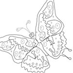 N̓səl̓xčin̓ 1 - A Beginning Course in Colville-Okanagan Salish, second edition - Lesson 10 - Colors thumbnail