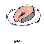 Lingít 1 - A Beginning Course in Lingít - Lesson 2 - Foods thumbnail